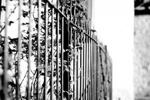 fence-619860_640